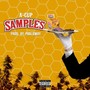 Samples (Explicit)