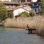 Brixia (Explicit)