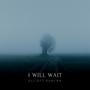 I Will Wait