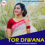 Tor Diwana