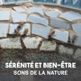 Sérénité et bien-être: Sons de la nature - Musique relaxante pour la pratique quotidienne du yoga, collection pour détente et harmonie