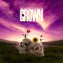 Grown (feat. Indigoochild)