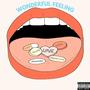 WONDERFUL FEELING (Explicit)