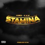 Stamina (feat. K.S.R) [Explicit]