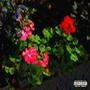 SOULFUL JOINTS 2! (Explicit)
