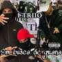 Em Busca de Grana (Remix) [Explicit]