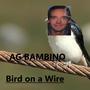 Bird on a Wire (Explicit)