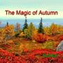 The Magic of Autumn