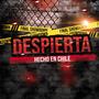 Despierta (feat. Abiel el angel de la tinta, jota brother, obed el bendecido, dos tonos crew, emece lanse, hageo mc, jordan, keny & dekros) [Explicit]