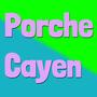 Porche Cayen (Special Version)