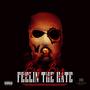 Feelin The Hate (feat. Big biz ) [Explicit]