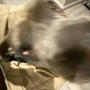 1942 (Explicit)