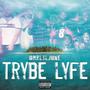 TRYBE LYFE (Explicit)