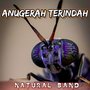 anugerah terindah