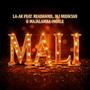 Mali (feat. ReaDaSoul, MJ Musician & Majalamba Omhle)