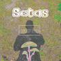 Setas (Explicit)