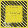 VISION (feat. Dizzy The Master & Mjay Sand) [Explicit]