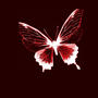 Butterflies (Explicit)