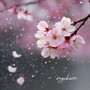 Melancholy in the Spring Rain