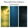 Binaural Lofi Sax Volume 1