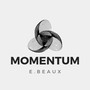 Momentum (Explicit)