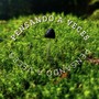 PENSANDO A VECES (Explicit)