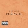 Guarantee (Explicit)