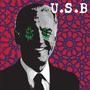 U.S.B. (United States of *****) [Explicit]