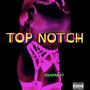 TOP NOTCH (IN THIS CLUB) [Explicit]