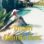 Insan