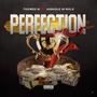 Perfection (feat. *** In Gold) [Explicit]