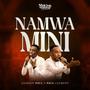 NAMWAMINI (feat. PAUL CLEMENT)