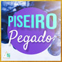 Piseiro Pegado