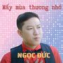 Mấy Mùa Thương Nhớ