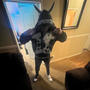 popout (feat. lil scar) [Explicit]
