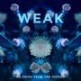 Weak (feat. Hugh M)