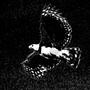 Need You (Explicit)