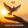 I Can Let Go Now
