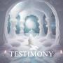 Testimony