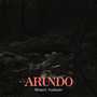 Piano Sonata No. 16 in C Major, K. 545 (Arr. Arundo for Saxophone and Piano) : II. Andante