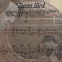 Street Bird Manos Loizos for classical guitar