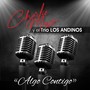 Algo Contigo (feat. Trio Los Andinos)