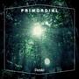 Primordial