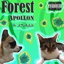 Forest (Explicit)