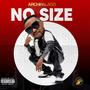The NoSize Album