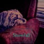 Snowfall