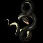 Letal (Base de Trap Doble Tempo)