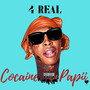 4 REAL (Explicit)