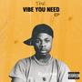 THE VIBE YOU NEED (Explicit)