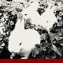 GENERALS / TRACK2 (Explicit)